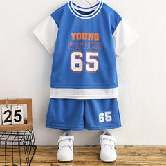 Boys Casual Outfit Round Neck T shirt & Shorts Set, Size 65