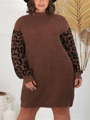 Colorblock Leopard Print Long Sleeve Sweater Dress