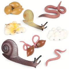 8pcs Snail & Earthworm Life Cycle Figurines Toy Set - Educational Project Birthd