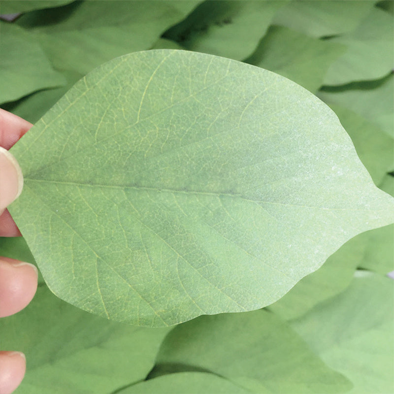 Funny Leaf Sticky Note Pads 50 Sheets Pad