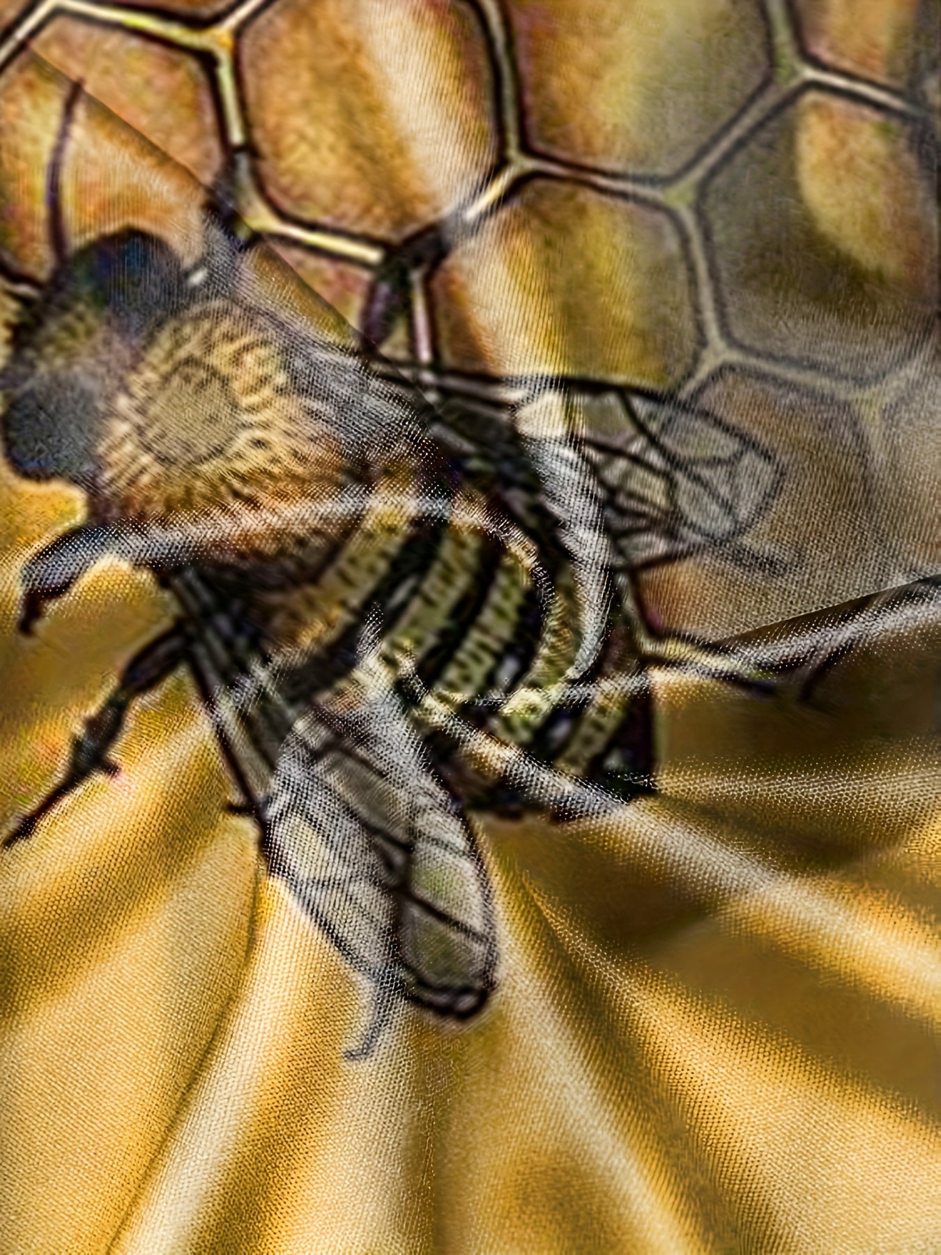 Bee & Honeycomb Pattern Men's 2 Piece Outfits T-shirt & Shorts Set