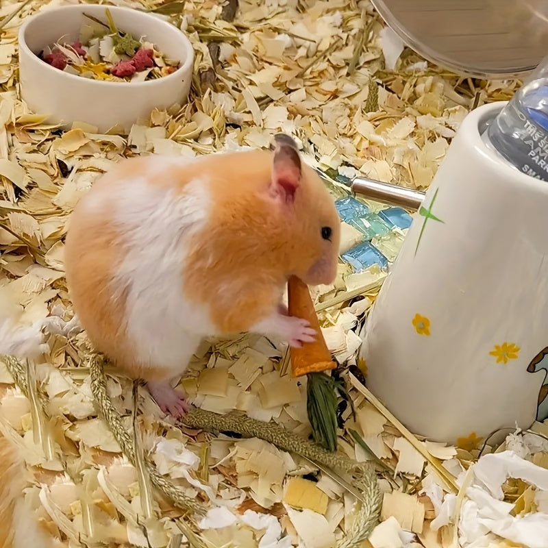 img_5506584