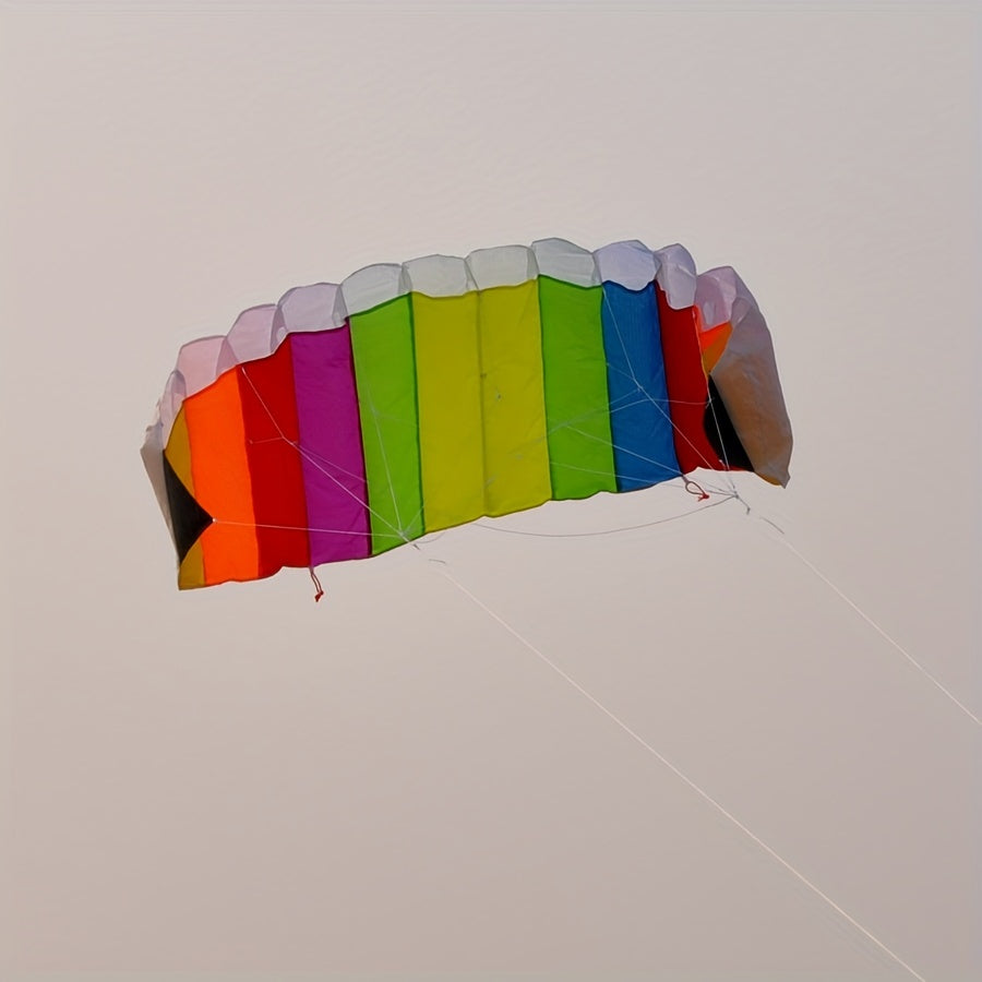 Colorful Dual Lines Kite with D Handles and Flying Lines