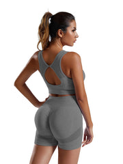 2pcs Yoga Workout Sets Sleeveless Tank Top Sports Bra & High Waist Shorts