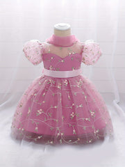 Baby Girl's Floral Embroidery Mesh Princess Dress