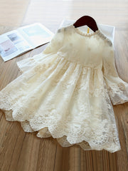 Girls' Lace Embroidery Flare Princess Dress - Birthday Gift