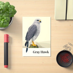 Birds Poster Hand Drawing Style For Kids Room Decor