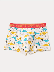 4pcs Boys Teen Cartoon Print Soft Boxer Briefs Underwear