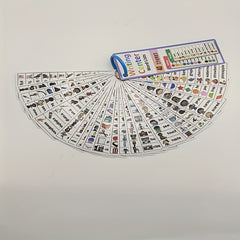 Educational Flashcards Seasons Weather Animals Daily Characters Plants Fruits
