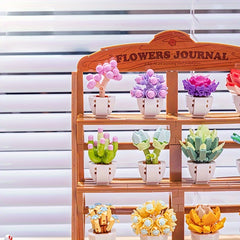 Eternal Flower Building Blocks Potted Succulent Mini DIY Model Toys