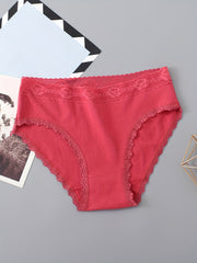 6 Pack Plus Size Sexy Panties Set High Rise Briefs