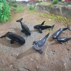 6pcs Marine Life Model Fish Animal Toys Shark Killer Whale Ornaments