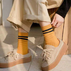 10 Pairs All Season Women's Crew Socks Striped Ten Colors