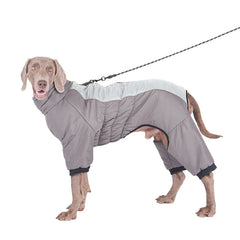 Waterproof Adjustable Dog Coat for Medium Large Dogs