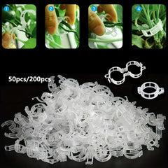 Plant Support Clips for Tomato Vine Vegetables Garden - 50/100/200pcs