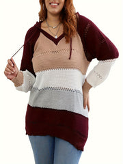 Colorblock Embroidered Hoodie Sweater Women's Plus