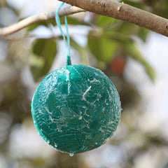 Sticky Ball Traps for Fruit Flies Mosquitoes & Insects Indoors & Outdoors
