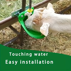 Automatic Sheep Waterer for Aquatic Bowl Raising - 1/3/5pcs