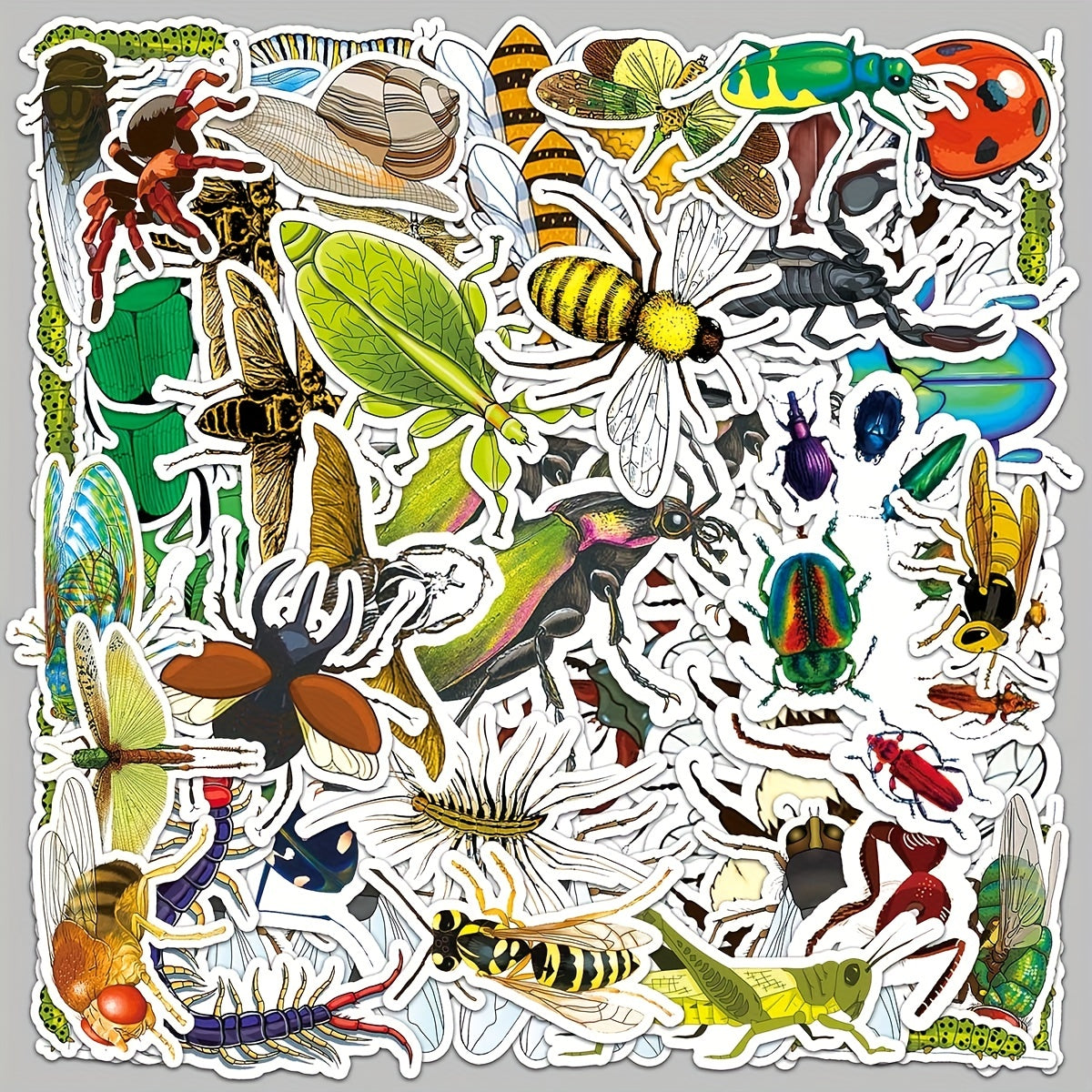 60pcs Insect Animal Waterproof Graffiti Stickers for DIY Phone Luggage