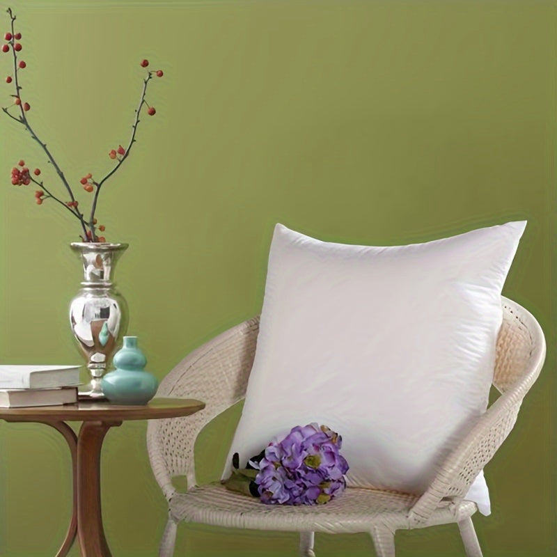 Decorative Filled Sofa Bed Pillows - Set of 2