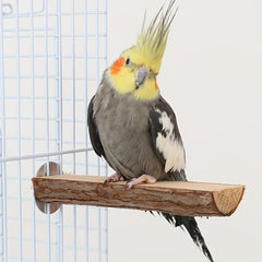 Natural Wood Parrot Perch Station Board for Bird Cage