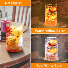 Resin Mold Cylinder Light with Wooden Base Stand