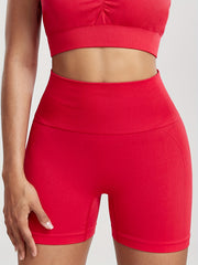 2 Pack High Waist Skinny Shorts for Women