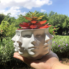 Abstract Faceted Planter Pot Head Succulent Pot