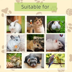 img_5506544