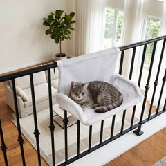 img_7499067