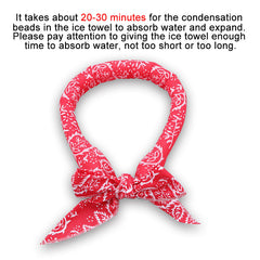 Reusable Cooling Neck Wraps Ice Bandanas For Summer Outdoor Activities