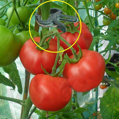 20pcs Plant Clips for Tomato Cage, 2 Sizes, Reusable Plant Supports Clips