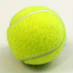 High Elasticity Training Tennis Ball 20pcs