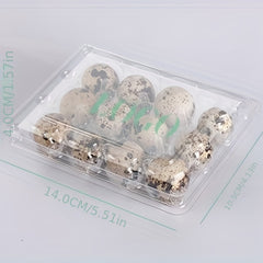 12pcs Quail Egg Packaging Box PET Plastic Holder