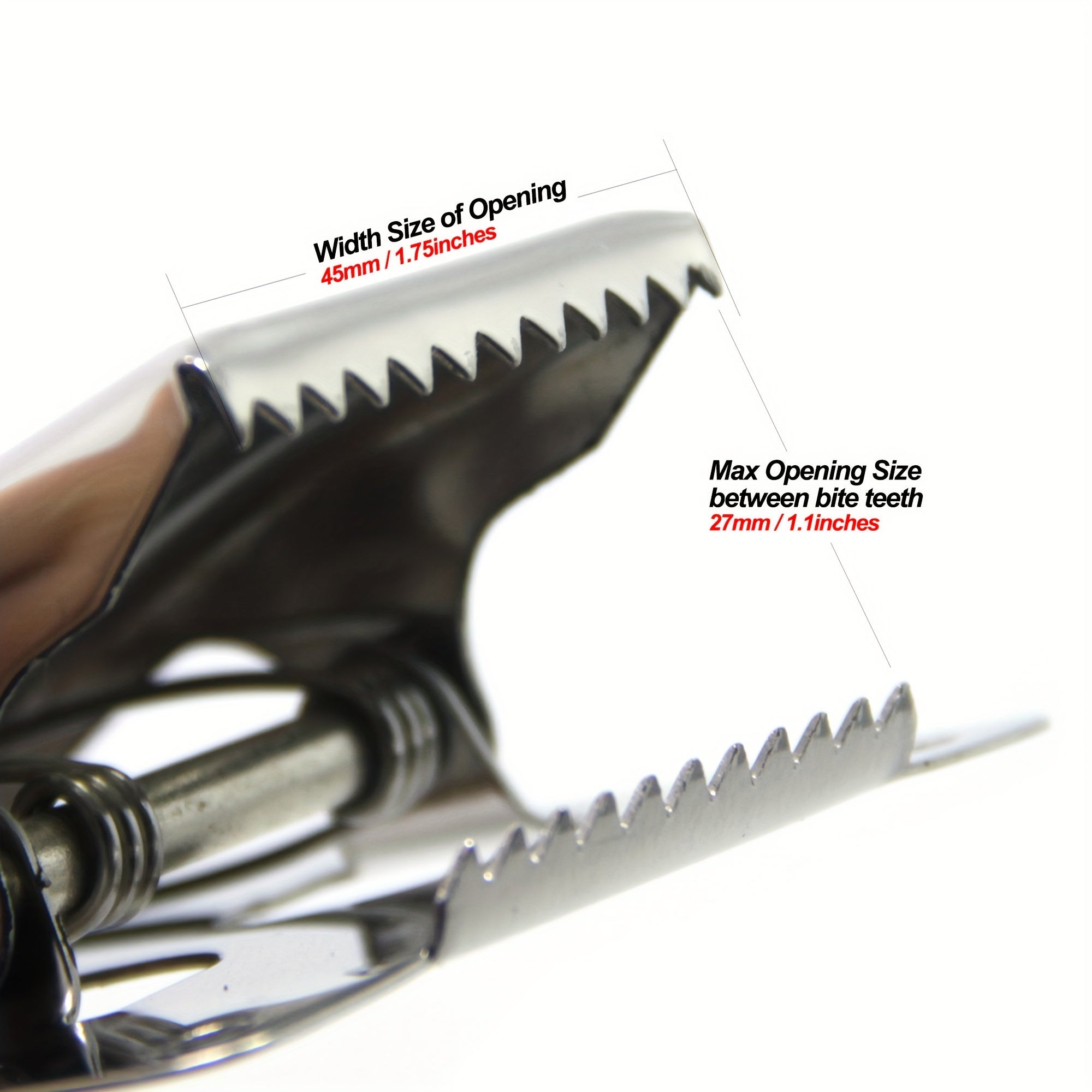 SAMSFX Stainless Steel Fish Clamp For Fish Cleaning Board