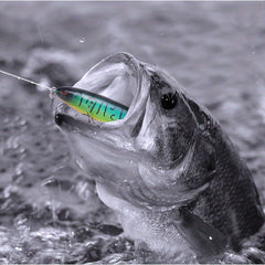 5pcs Topwater Popper Artificial Bait Fishing Tackle