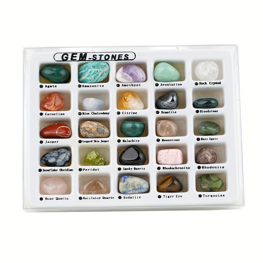 25pcs Rock & Mineral Collection Kit Geology Crystal Stone Fossils Science
