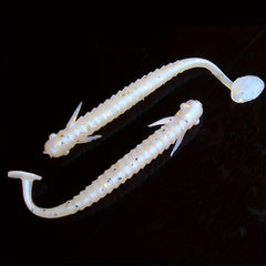 8pcs Paddle Tail Soft Lure Swimbait Fishing Freshwater Saltwater