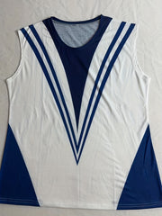 Colorblock Stripe Print Tank Top