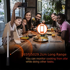 Smart Meat Thermometer Waterproof Wireless Dual Probe Digital Cooking