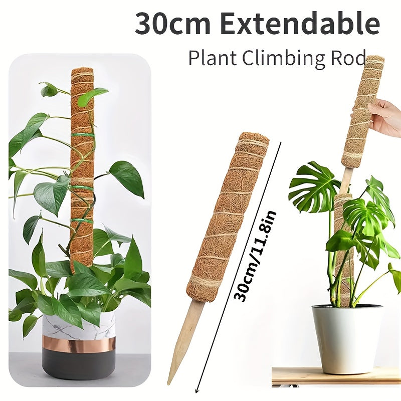 1pc Green Carrot Plant Climbing Pole Palm Rattan St