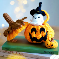 Beginner's Crochet Set With Instructions & Video Tutorial