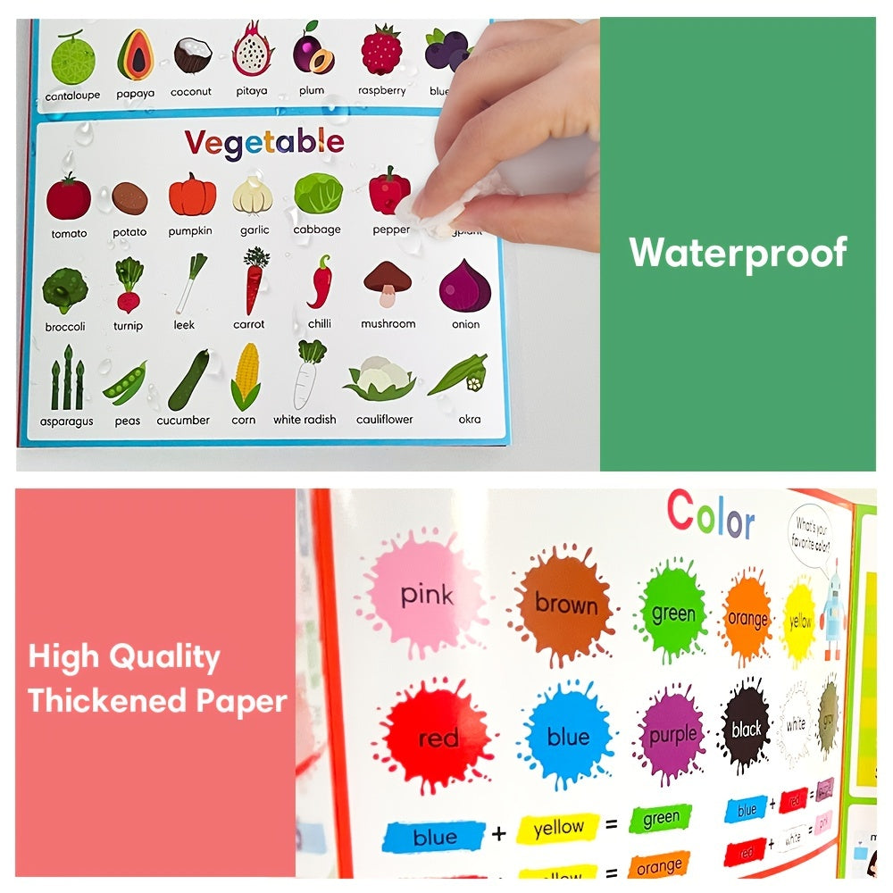 Interactive Learning Chart 8 Sided A4 Size Flashcards