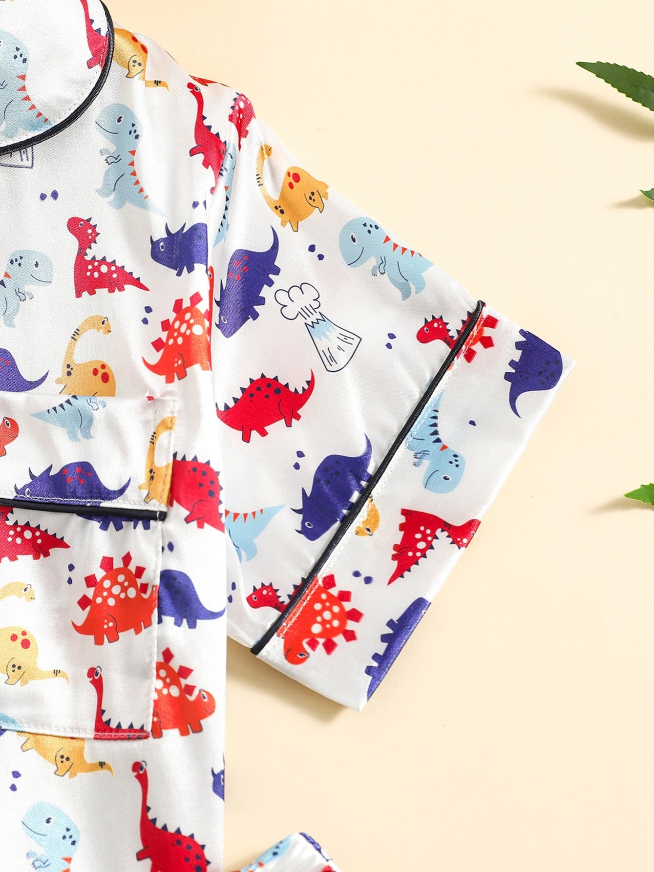 2pcs Boys Dinosaur Print Button Loungewear