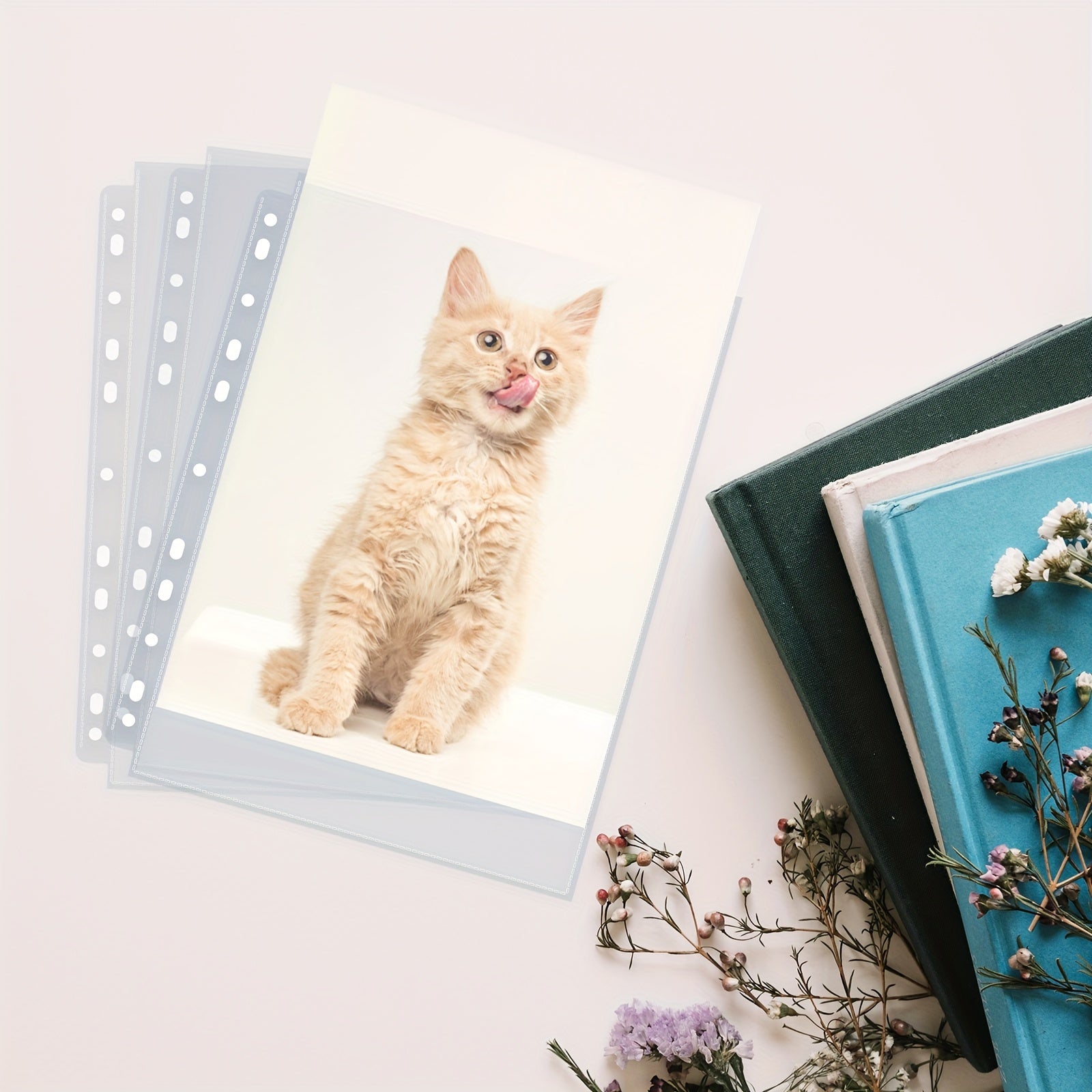 Card Sleeve Protector Album for Menu, 30 50 Sheet Photocard Binder Pockets