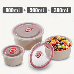 3 PCS Airtight Food Storage Containers Fresh Keeping Bowls Multiple Sizes