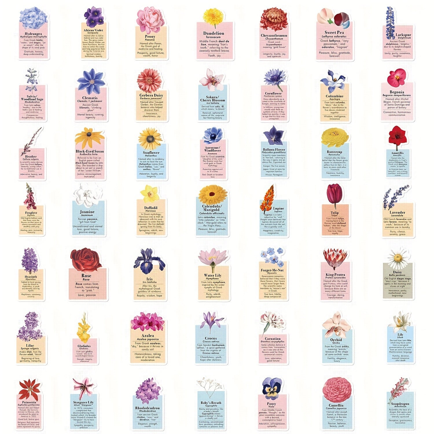 50pcs Flower Language Graffiti Stickers Laptop Helmet Water Cup DIY Sticker Pack