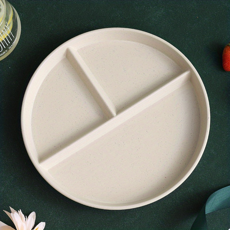 Plastic Dinner Plate for Weight Loss and Picnic