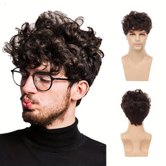 Men's Dress Up Short Curly Wig Costume Wigs For Parties