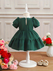Baby Girl Palace Style Puffy Princess Christmas Dress